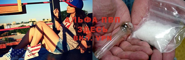 твердый Гусев