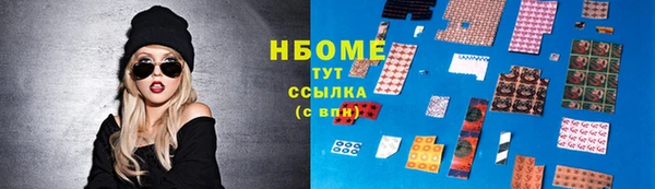 твердый Гусев