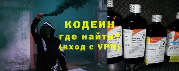 твердый Гусев