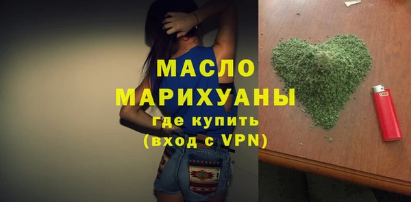 твердый Гусев