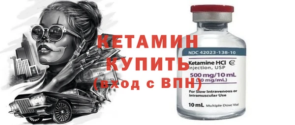 твердый Гусев