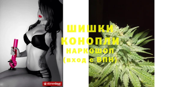 ешки Гусь-Хрустальный