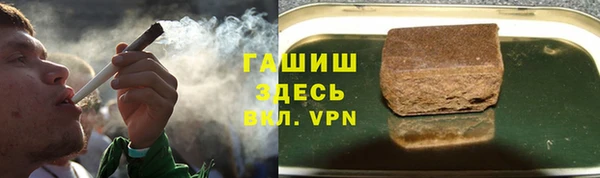 твердый Гусев