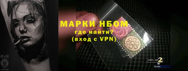 твердый Гусев