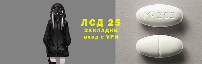 твердый Гусев