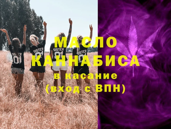 твердый Гусев