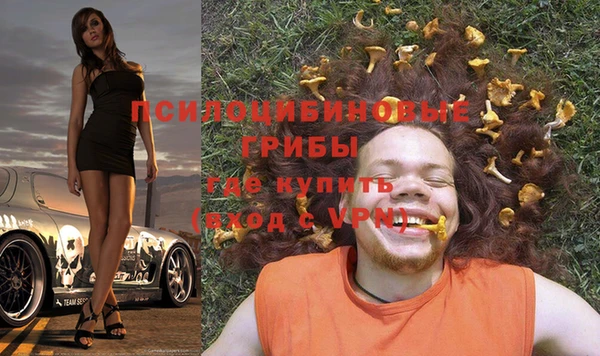 ECSTASY Гусиноозёрск