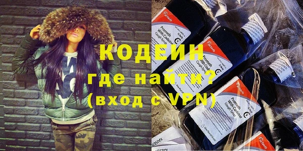 твердый Гусев