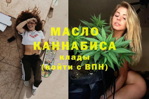твердый Гусев