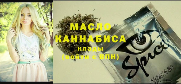 ешки Гусь-Хрустальный