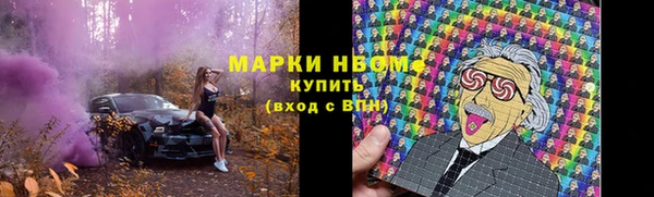 твердый Гусев