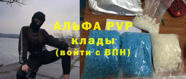ешки Гусь-Хрустальный