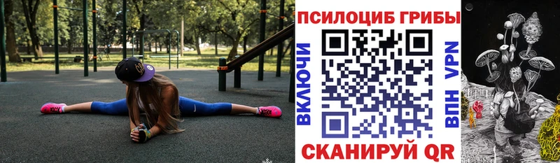 Купить где  Красногорск  Псилоцибиновые грибы мухоморы 
